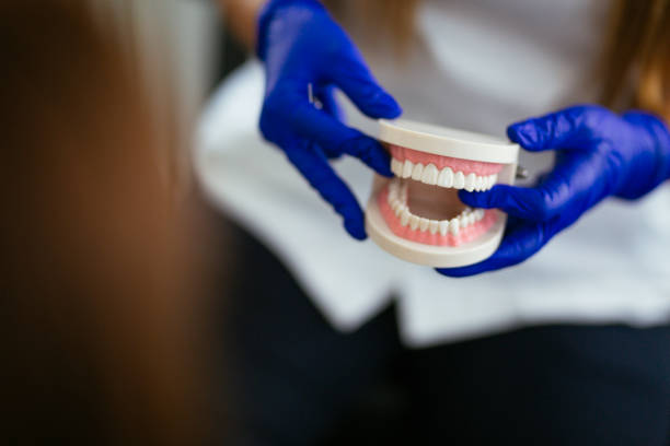 Reliable Pine Island, TX Holistic Dental Care Services Solutions